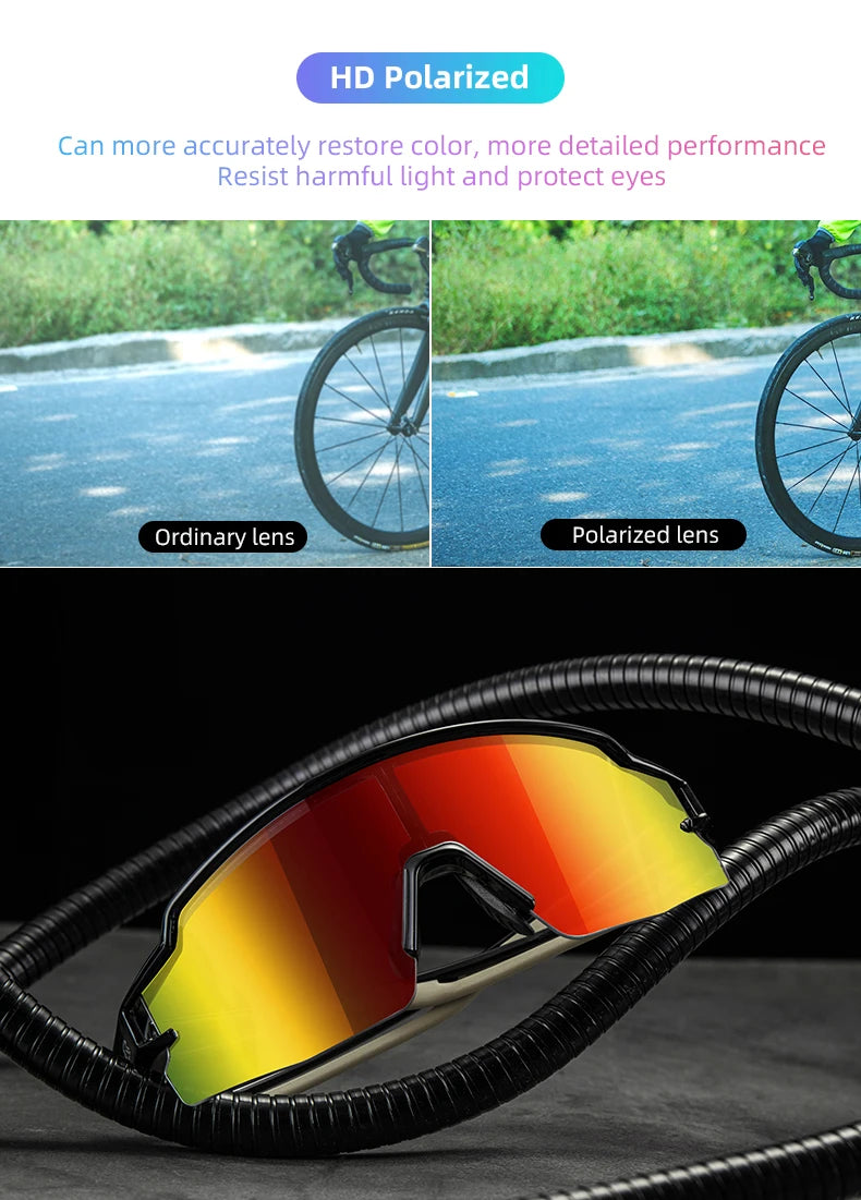 Polarized Cycling Glasses